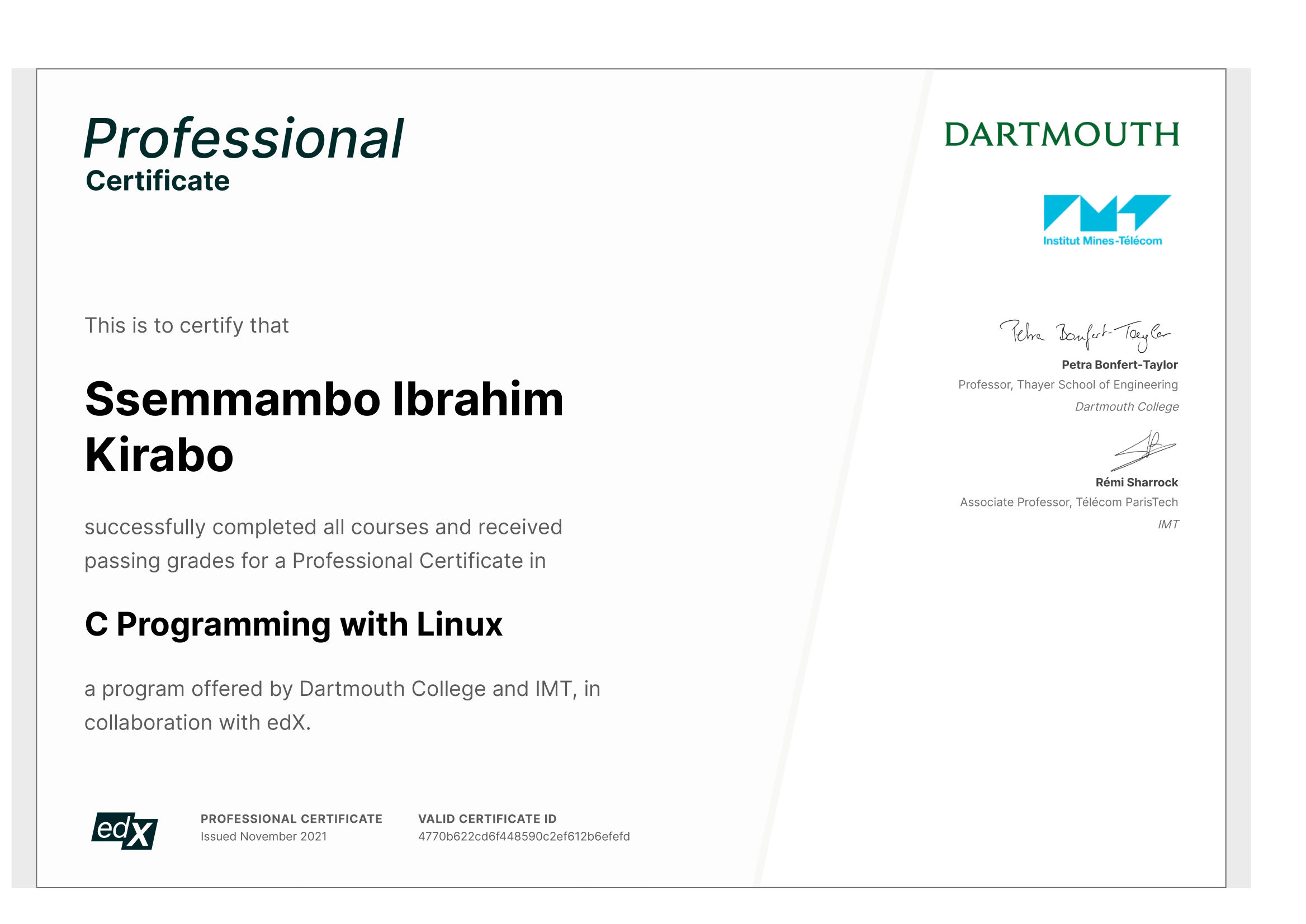 Professional C programmer