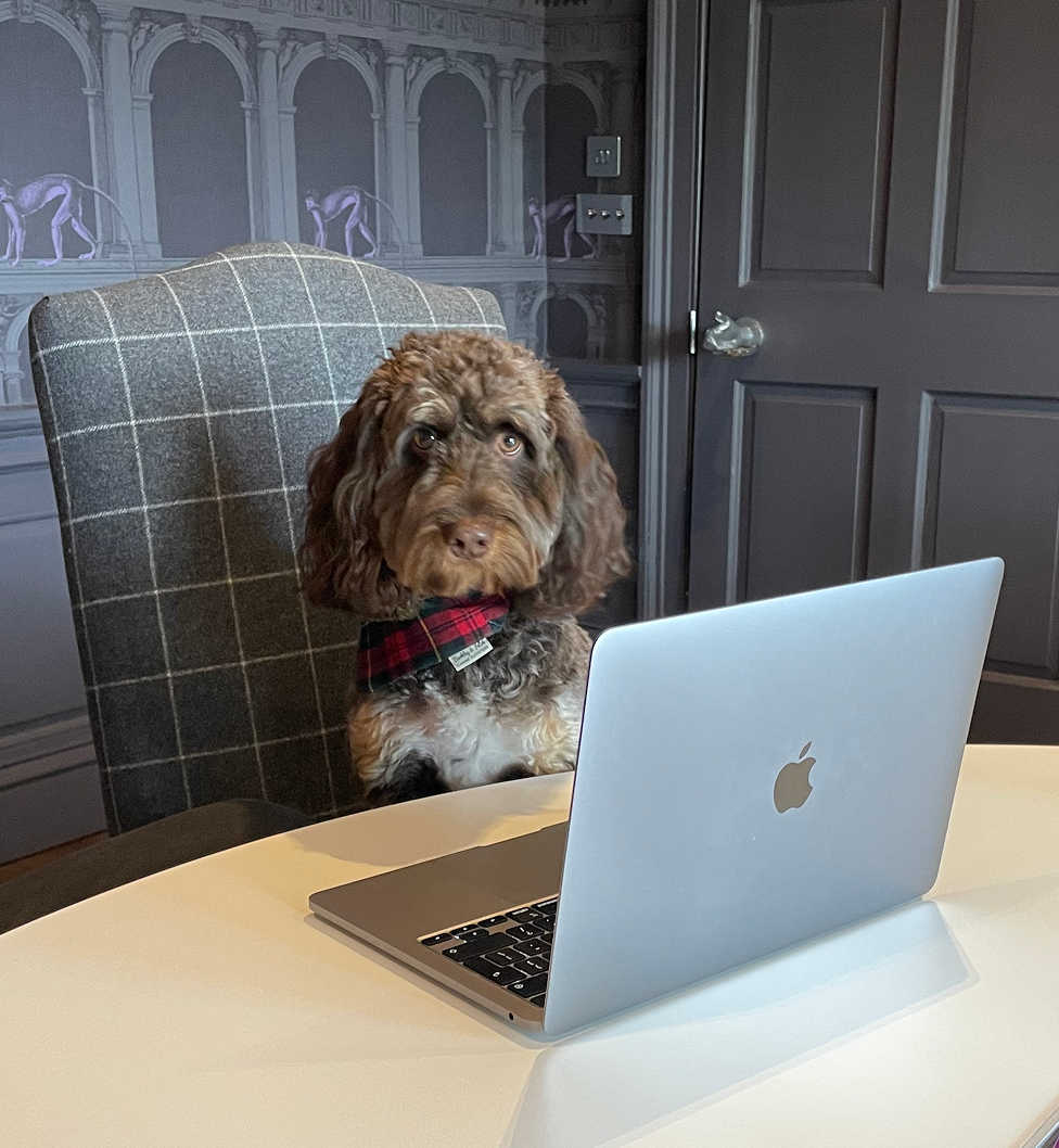 8MS Digital Barketing Manager, Cody, sits on chair in front of laptop.