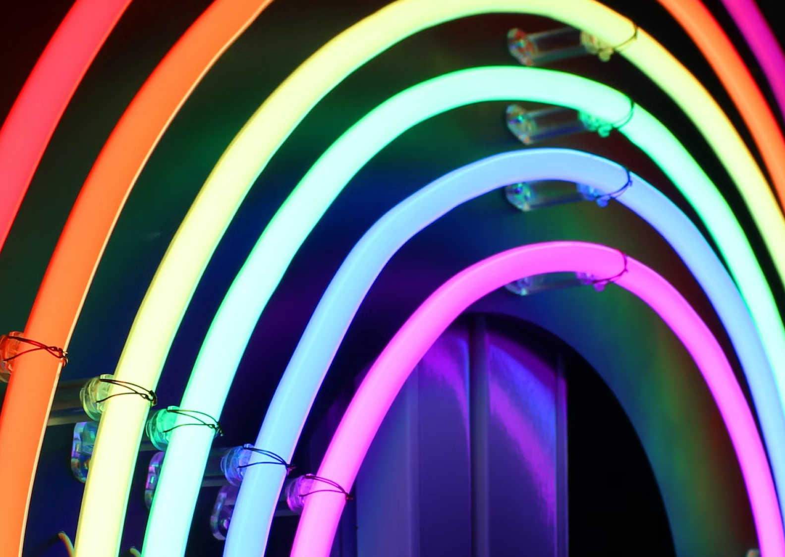 Close-up image of vibrant neon lights arranged in a curved, rainbow pattern.