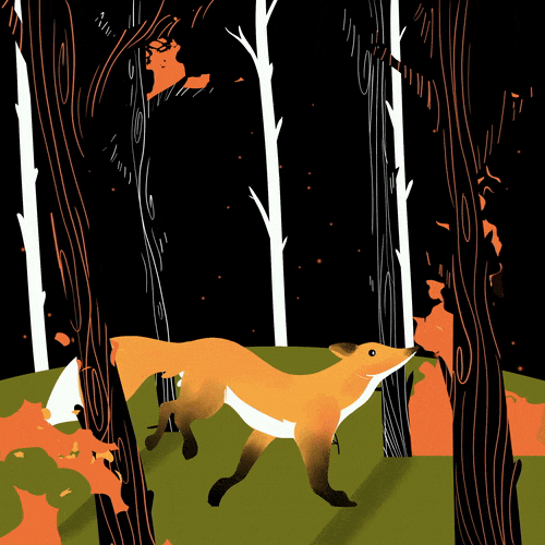 Wildfire