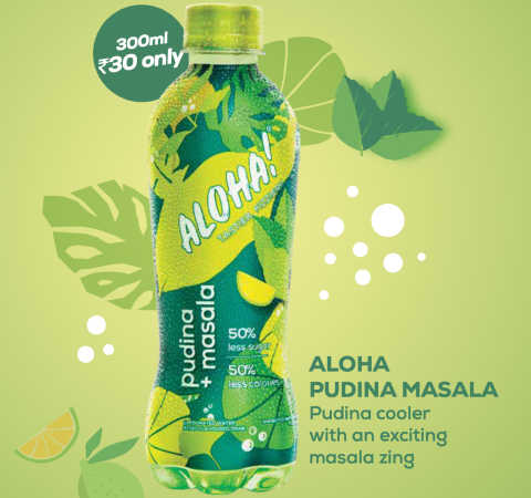 Aloha Pudina Masala-Railofy