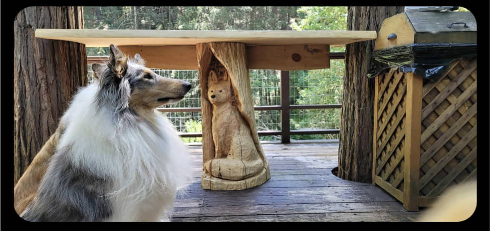 carousel-image