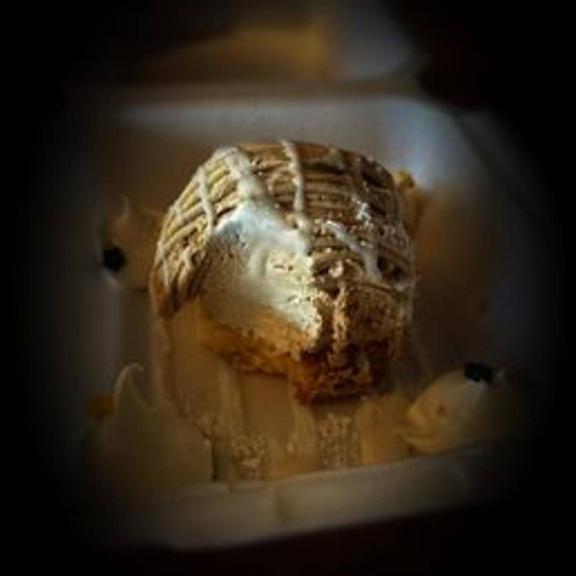 carousel-image