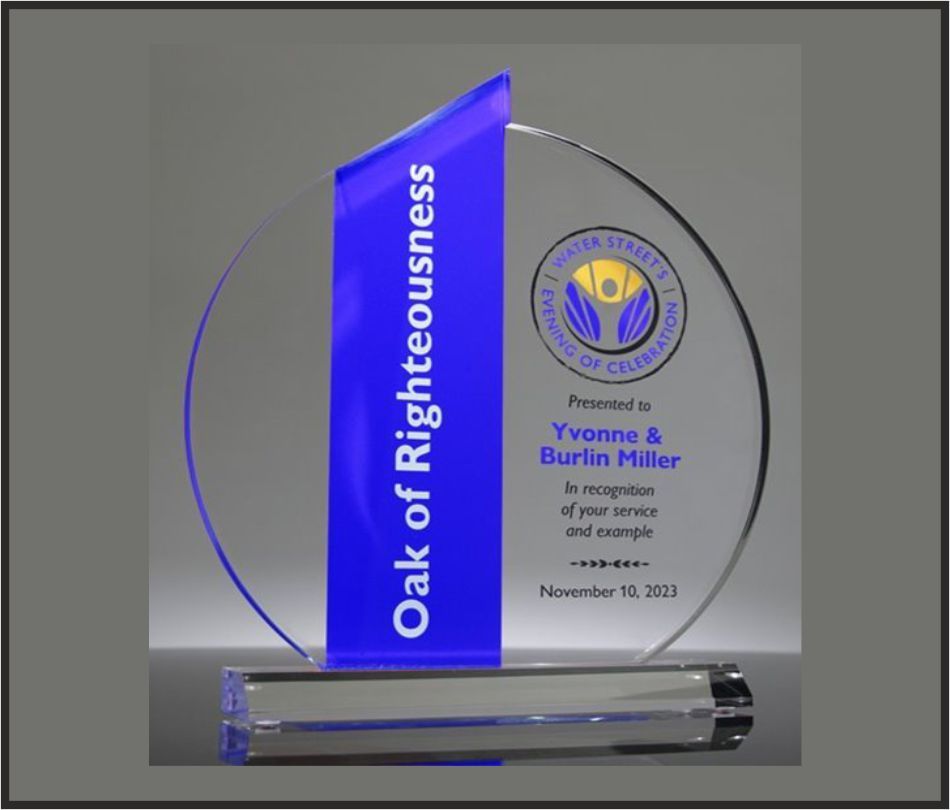 TRO - A19, Acrylic Trophy, size 8"x7" inch