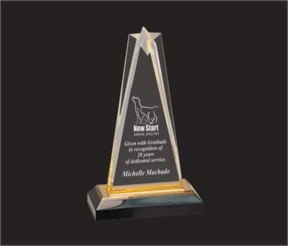 TRO - A48, Acrylic Trophy, size 10"x4" inch