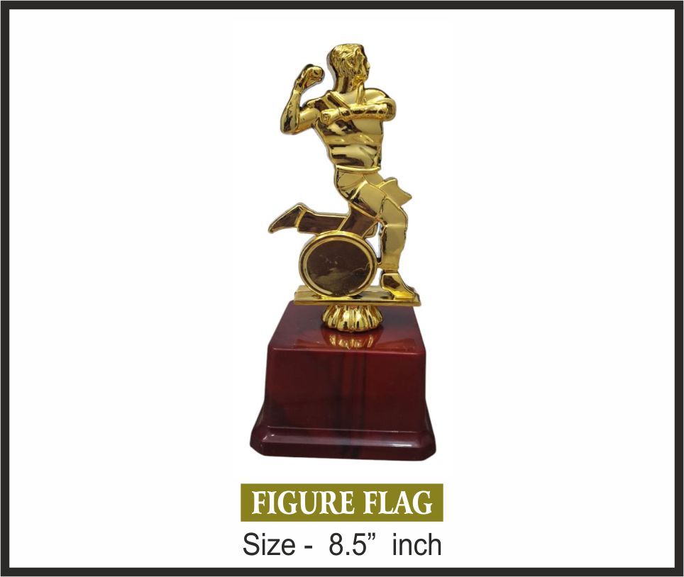 TRO - F24, Fiber Trophy, size 8.5" inch