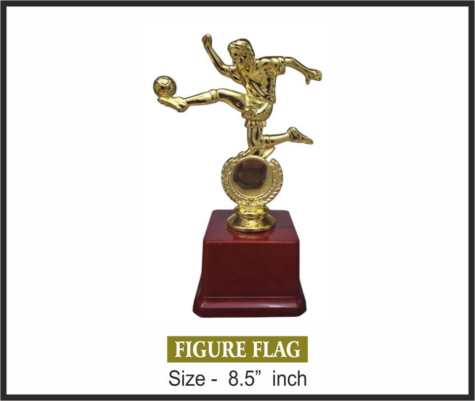 TRO - F25, Fiber Trophy, size 8.5" inch