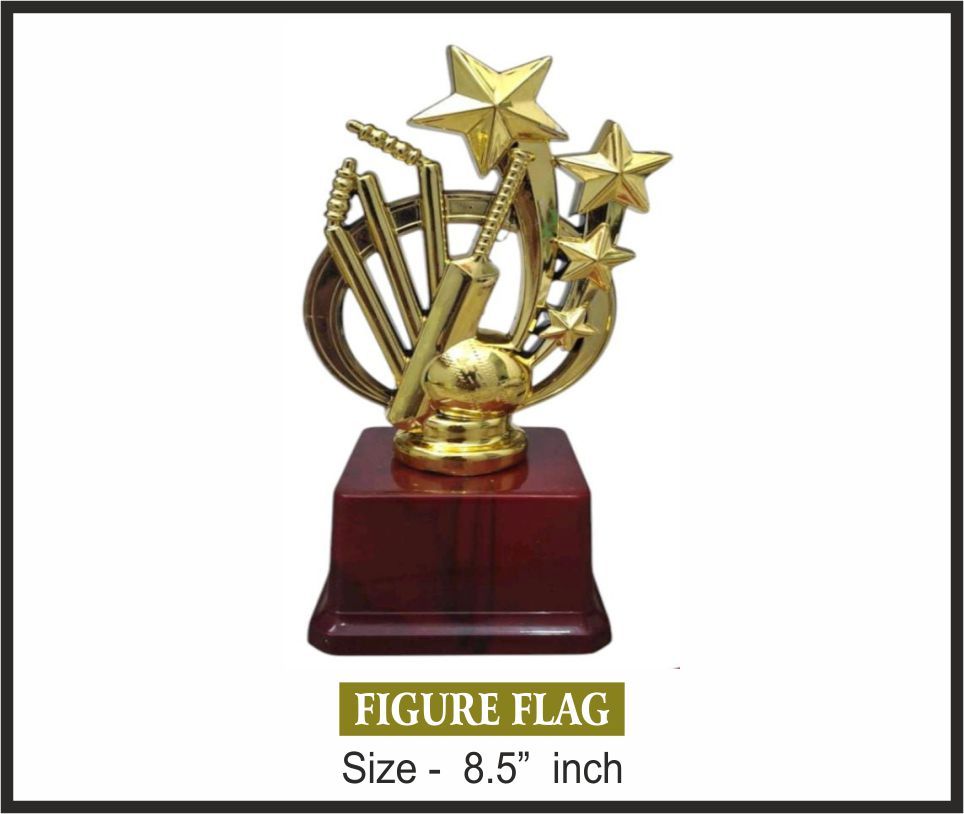 TRO - F27, Fiber Trophy, size 8.5" inch