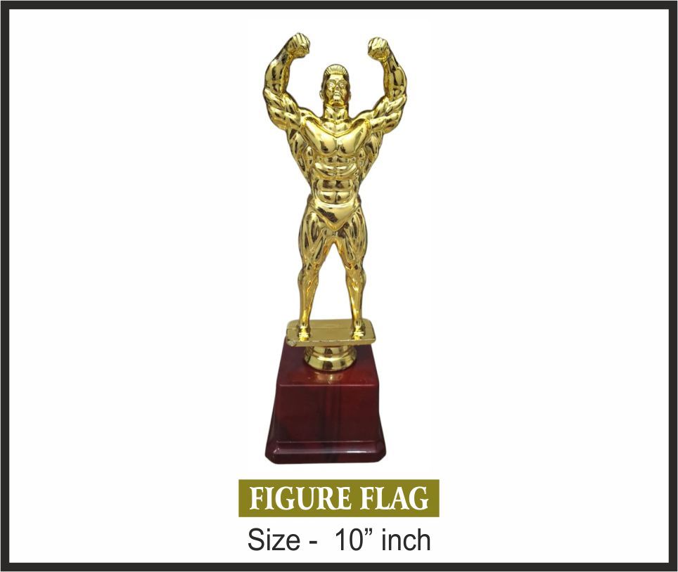TRO - F30, Fiber Trophy, size 10" inch