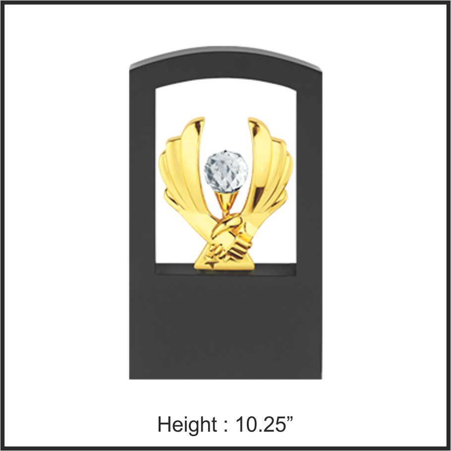 TRO - 1069, Metal Trophy, size 10.25" inch