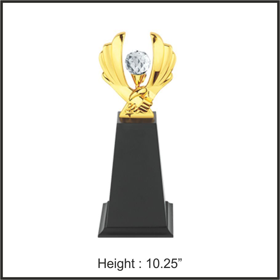 TRO - 1070, Metal Trophy, size 10.25" inch