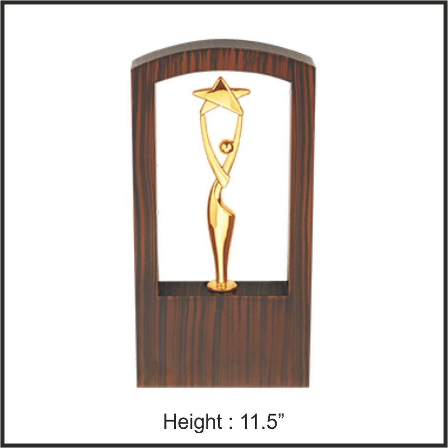 TRO - 1111, Metal Trophy, size 11.5" inch