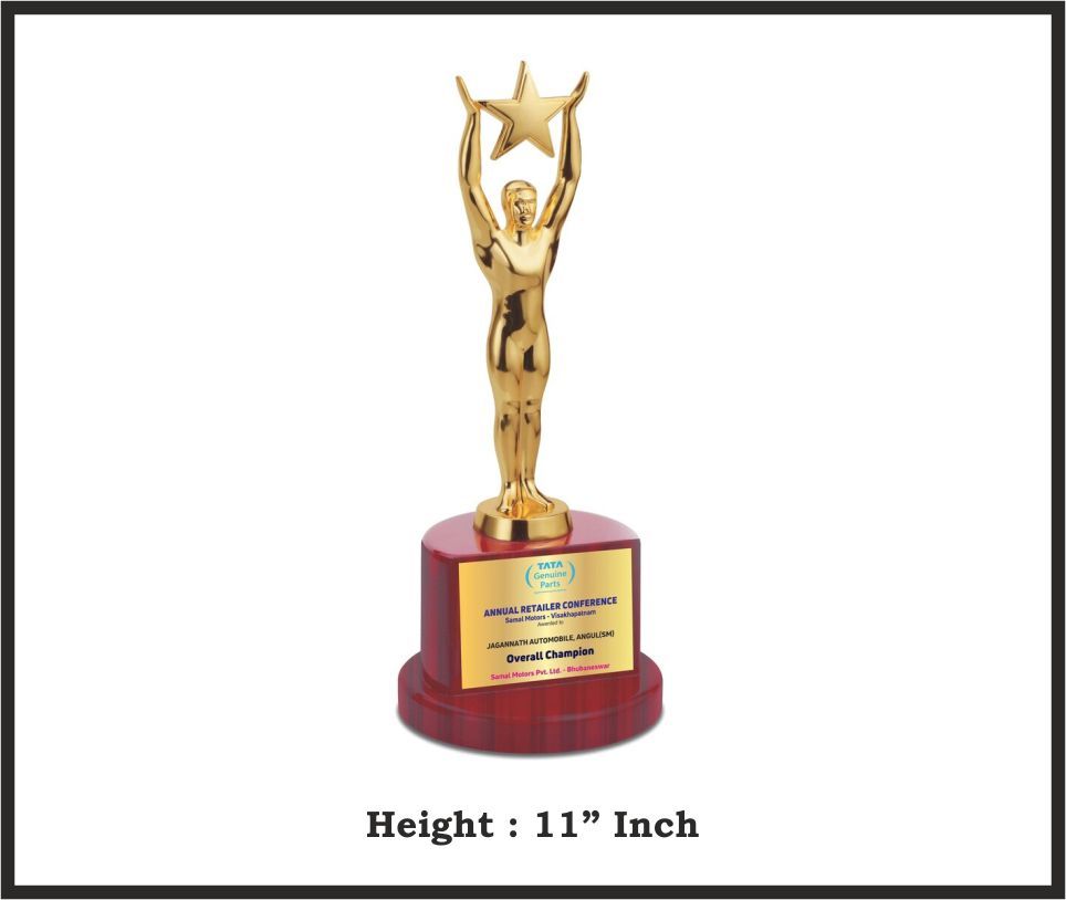 TRO - M2216, Metal Trophy, size 11" inch