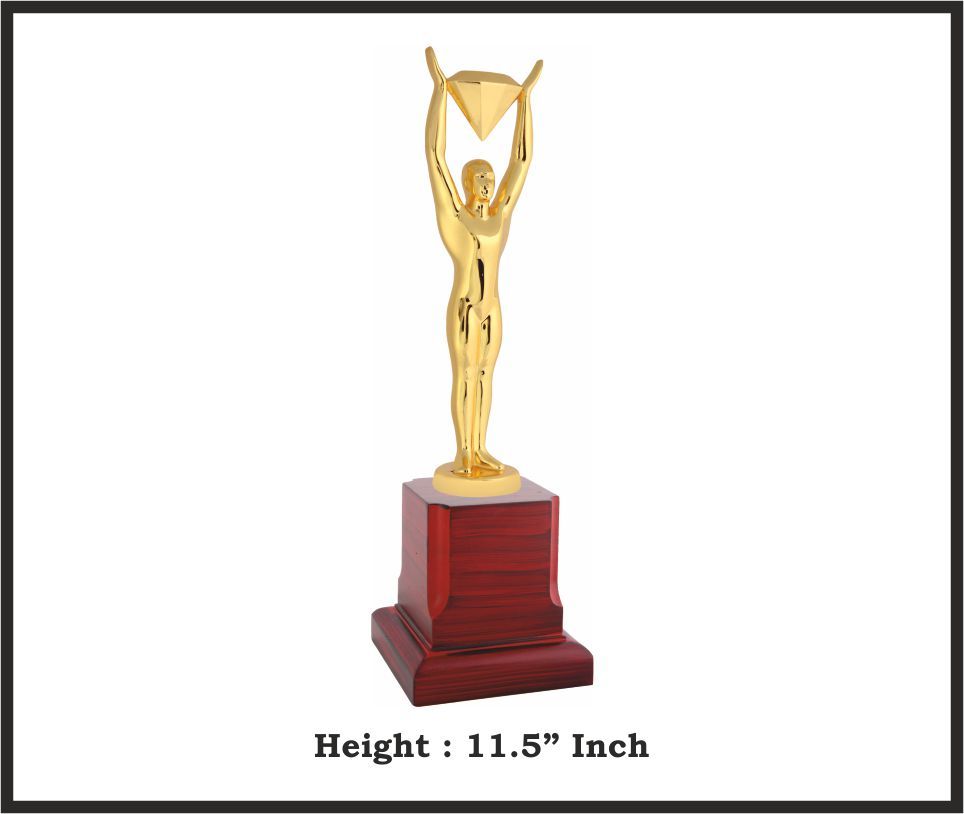 TRO - M867, Metal Trophy, size 11.5" inch