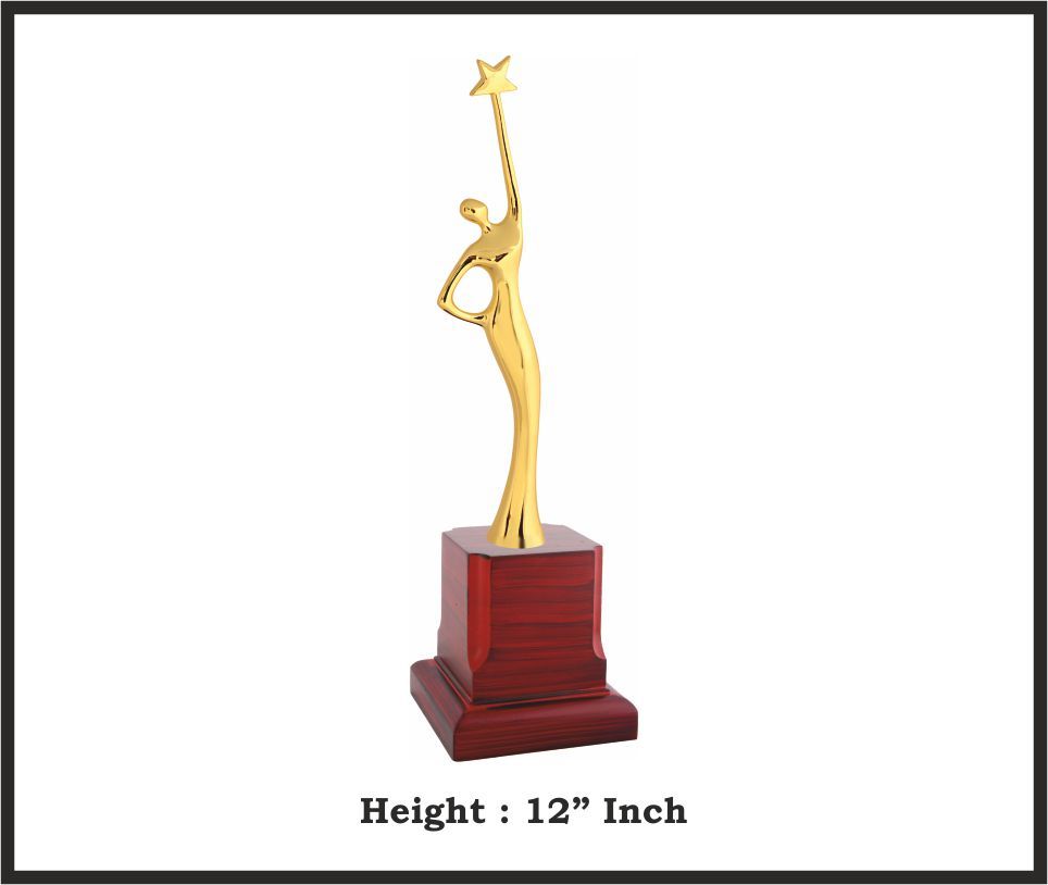 TRO - M870, Metal Trophy, size 12" inch