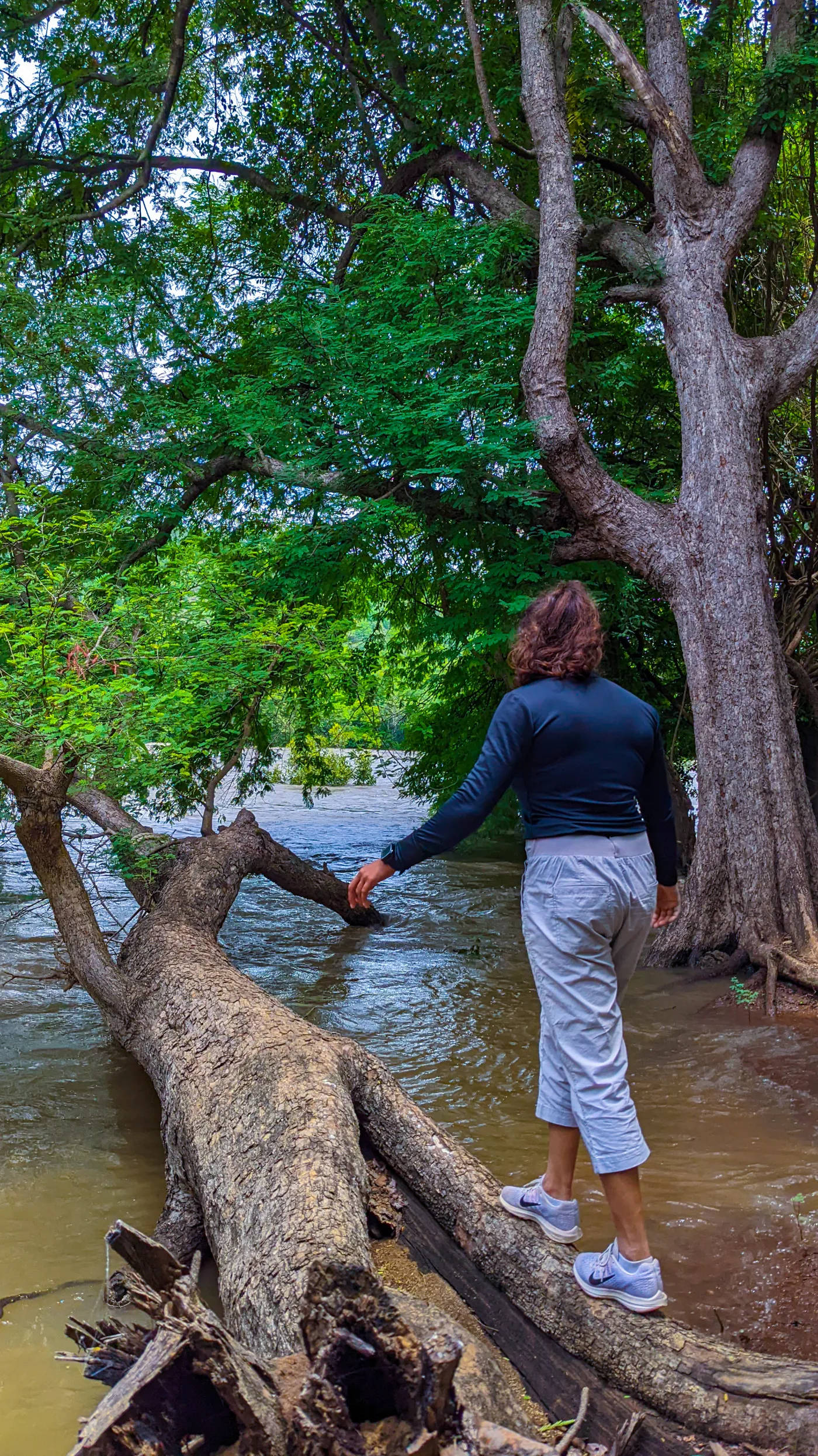 Instant Book Day Outing at the Bheemeshwari Adventure and Nature Camp -  Jungle Lodges & Resorts | Your Trusted Booking Platform