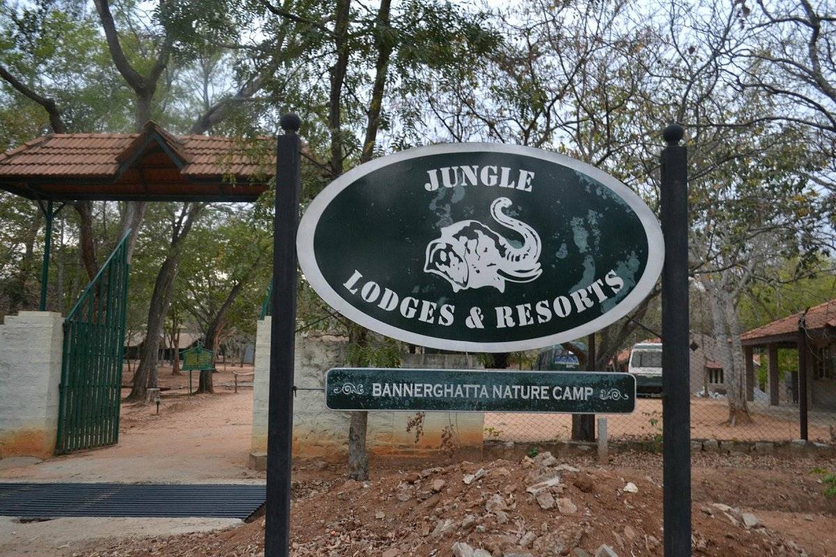 Bannerghatta Nature Camp by Jungle Lodges | Your Trusted Booking Partner