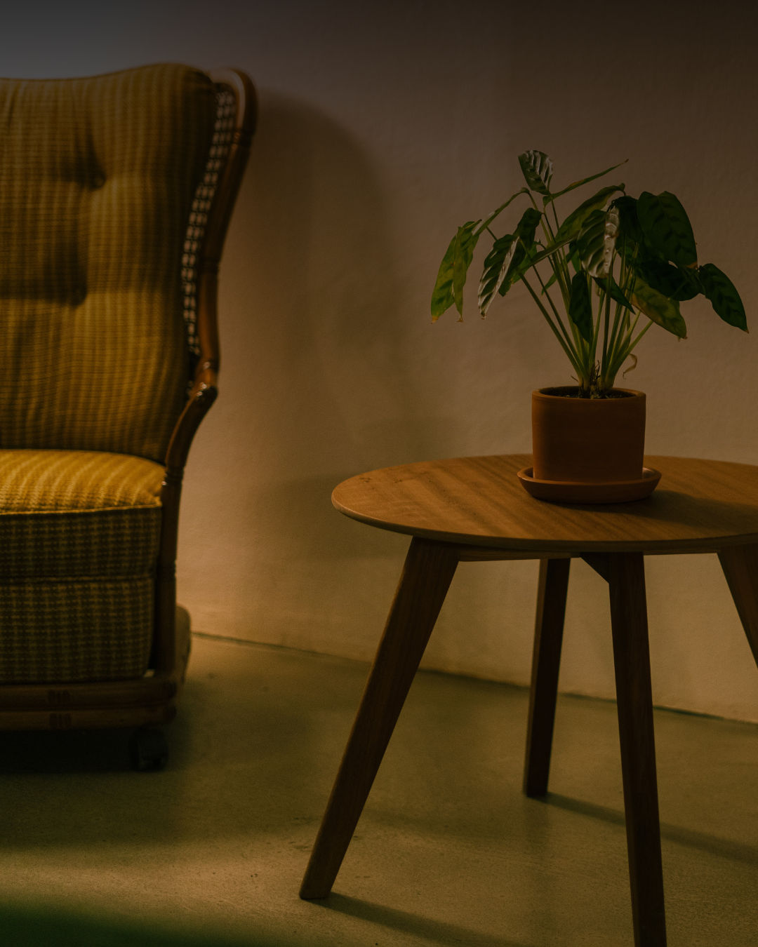The Strategy Behind 300% Lead Growth for Antonovich Designs