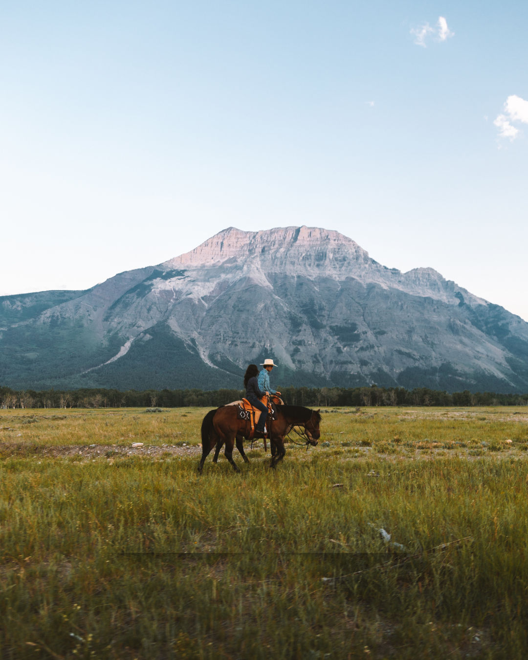 Driving 238% More Travel Bookings for Pick Your Trail with Performance Marketing