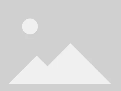 Related Service Image