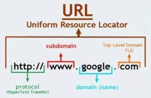 Tipe Domain