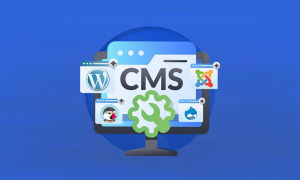 apa itu cms