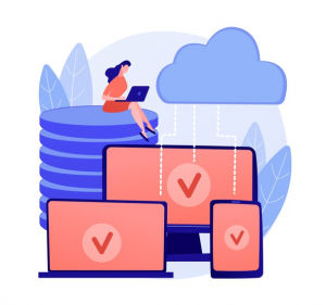 VPS (Virtual Private Server)