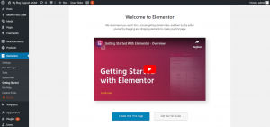 Welcome to Elementor