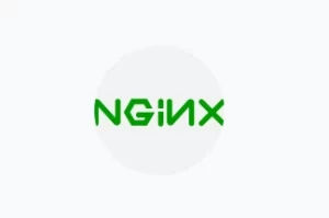 nginx adalah
