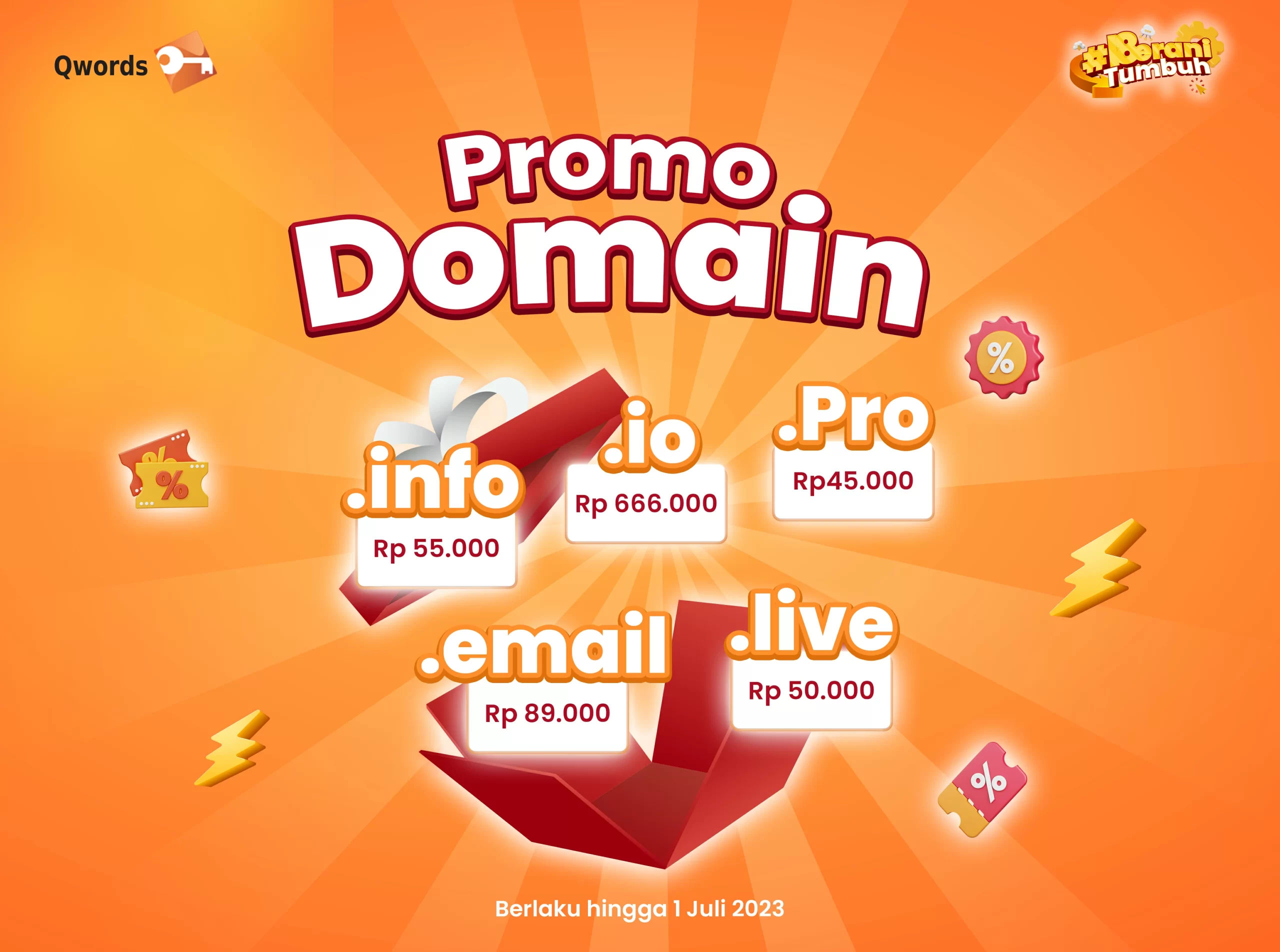 Promo Domain ID (my.id, biz.id, web.id)