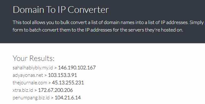 Hasil pengecekan Domain to IP Converter