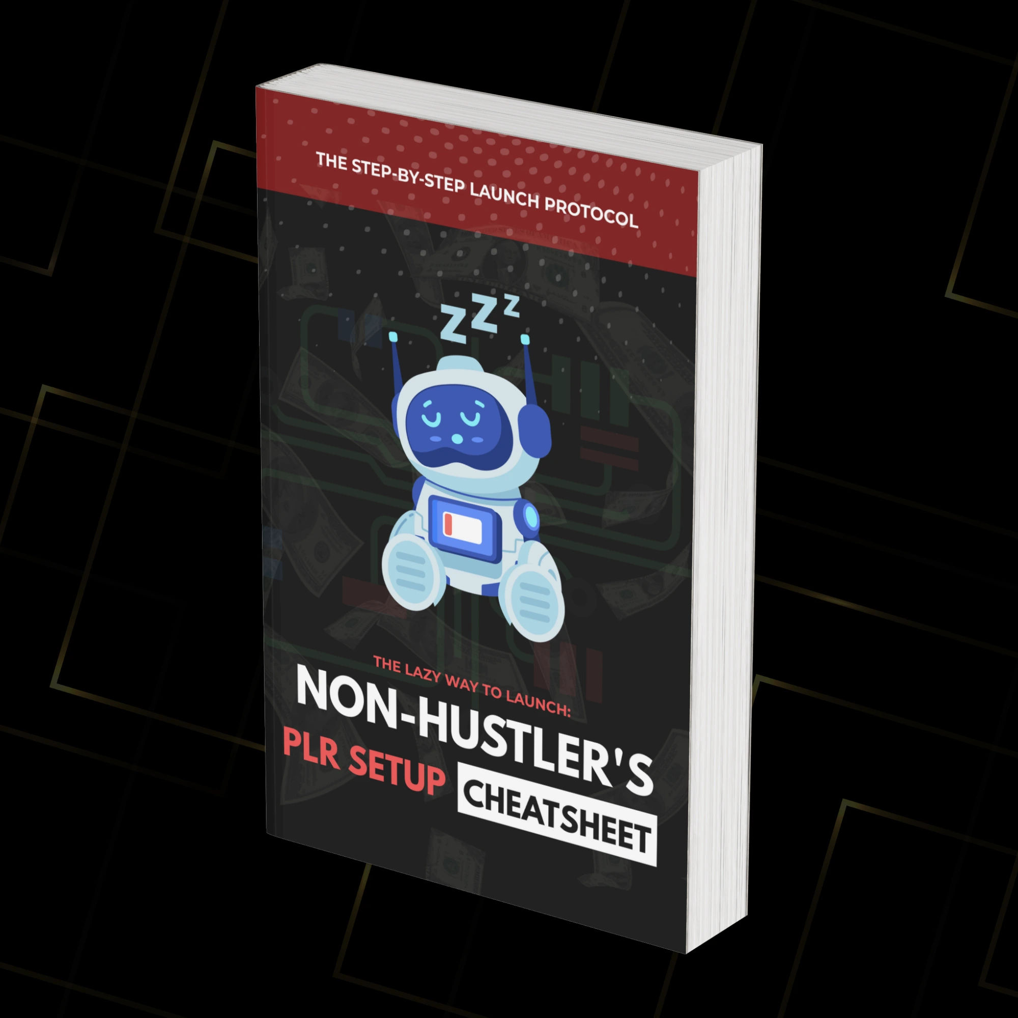Bonus 4: Non-Hustler's PLR Setup Cheatsheet