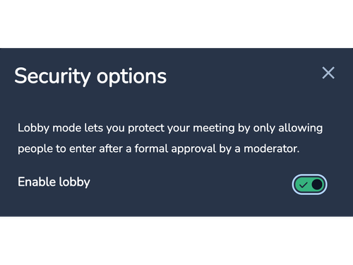 Advanced video conferencing security options