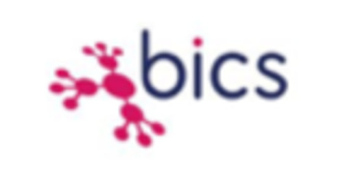 Bics Logo