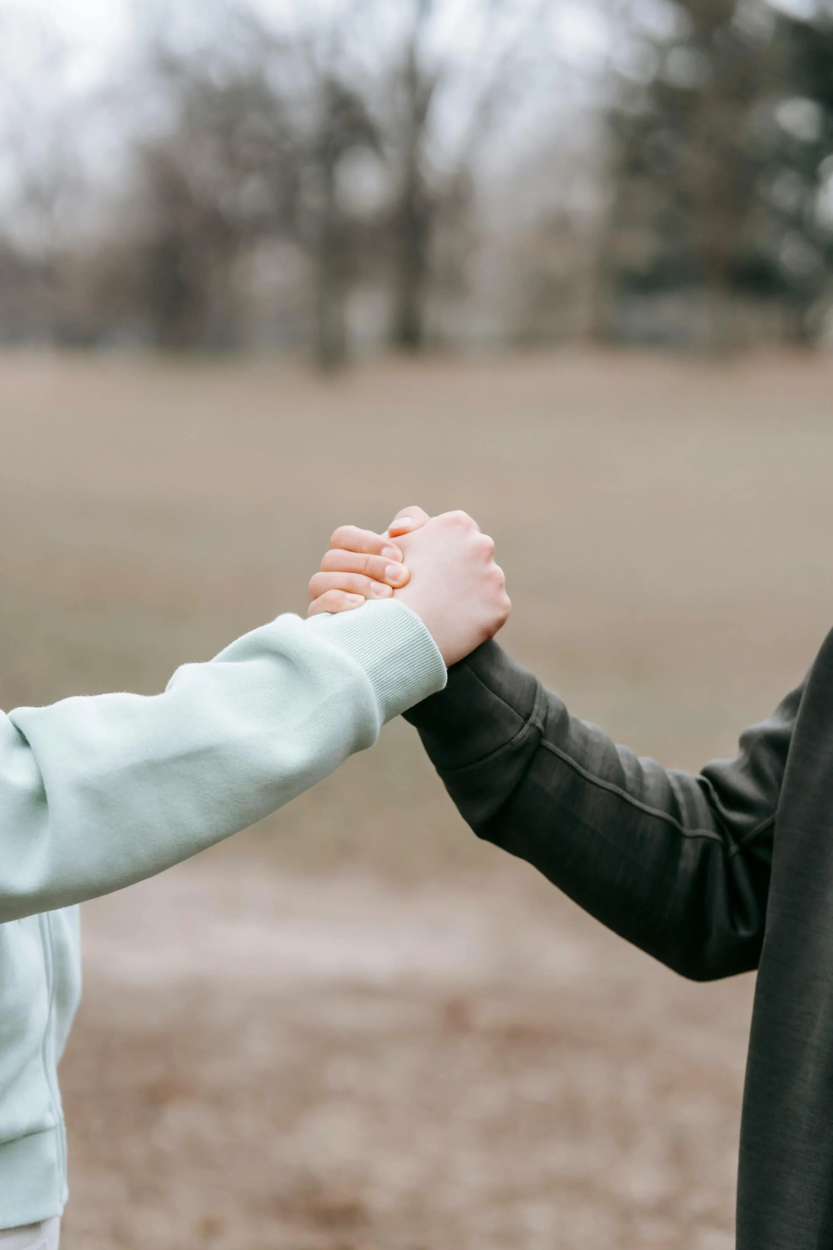 Handshake