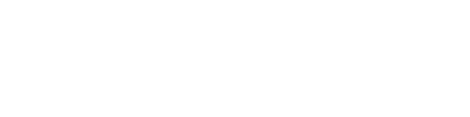 logo of the project