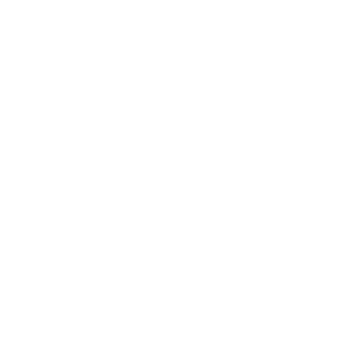 logo of the project