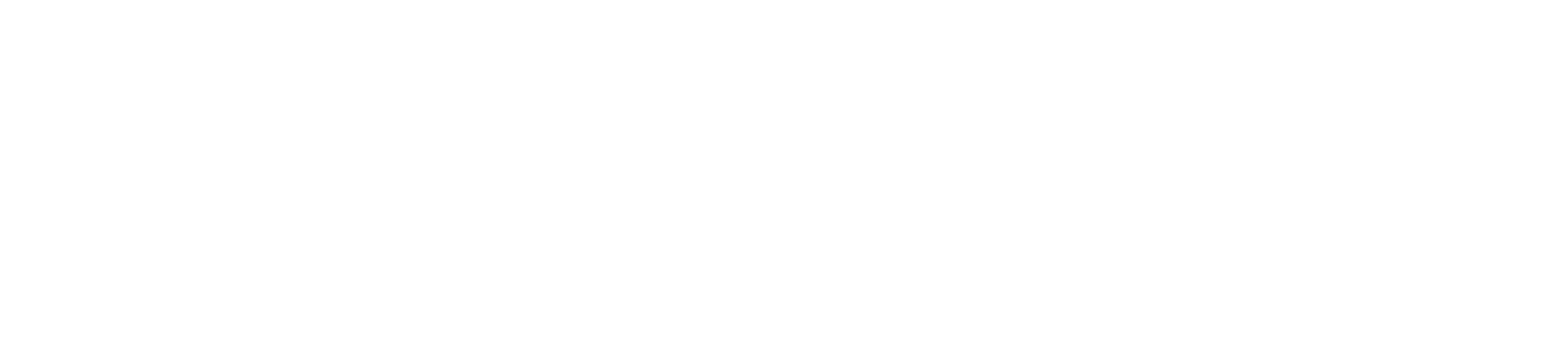 logo of the project