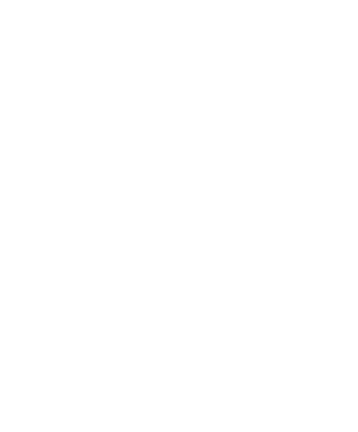 logo of the project