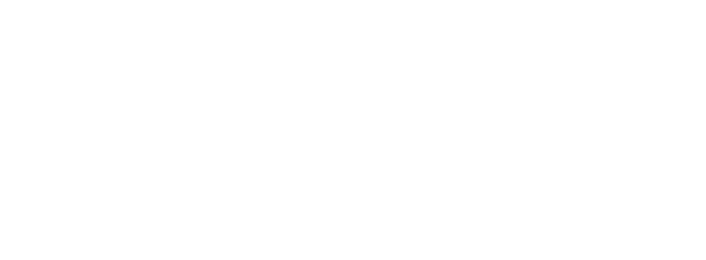 logo of the project