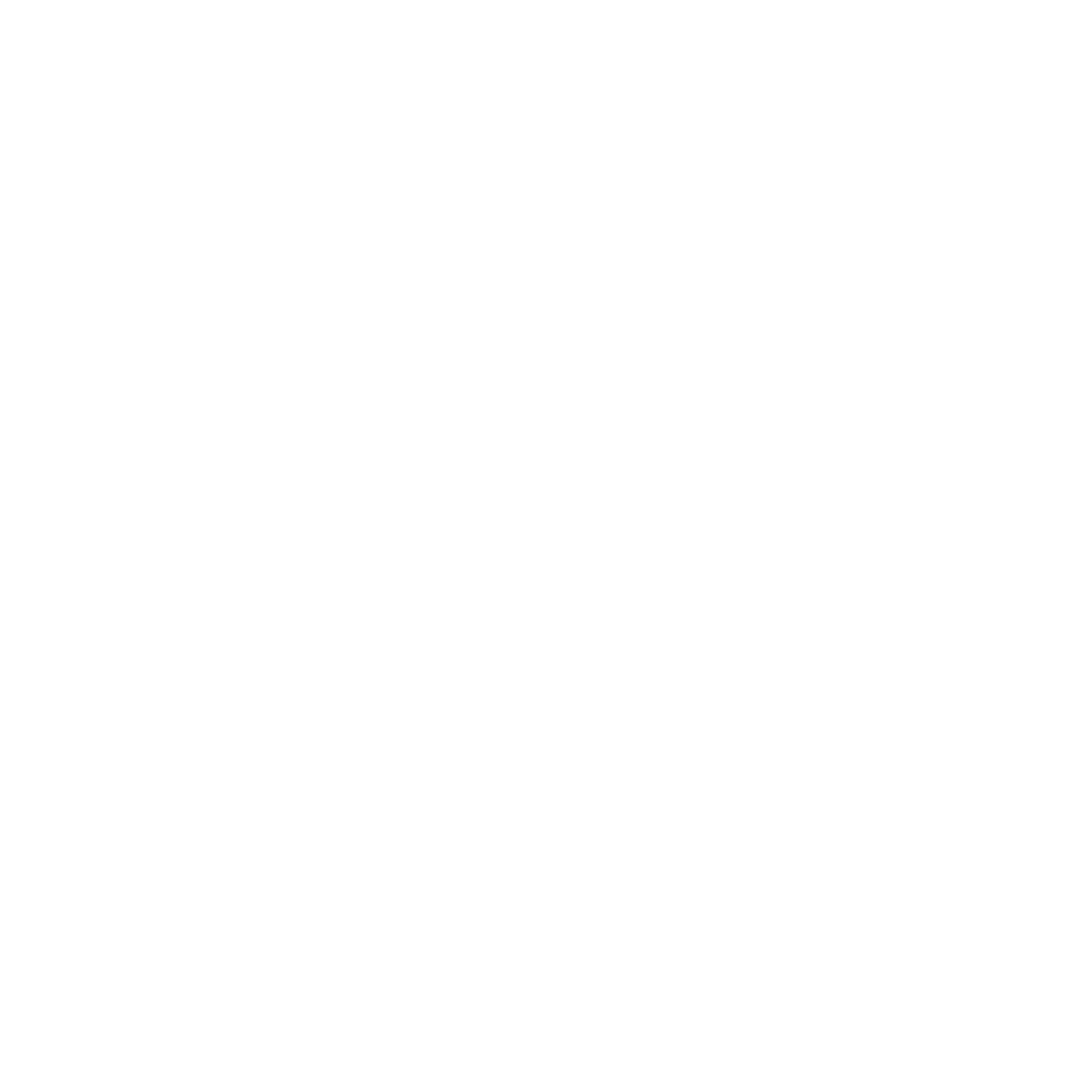 logo of the project