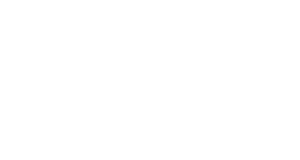 logo of the project