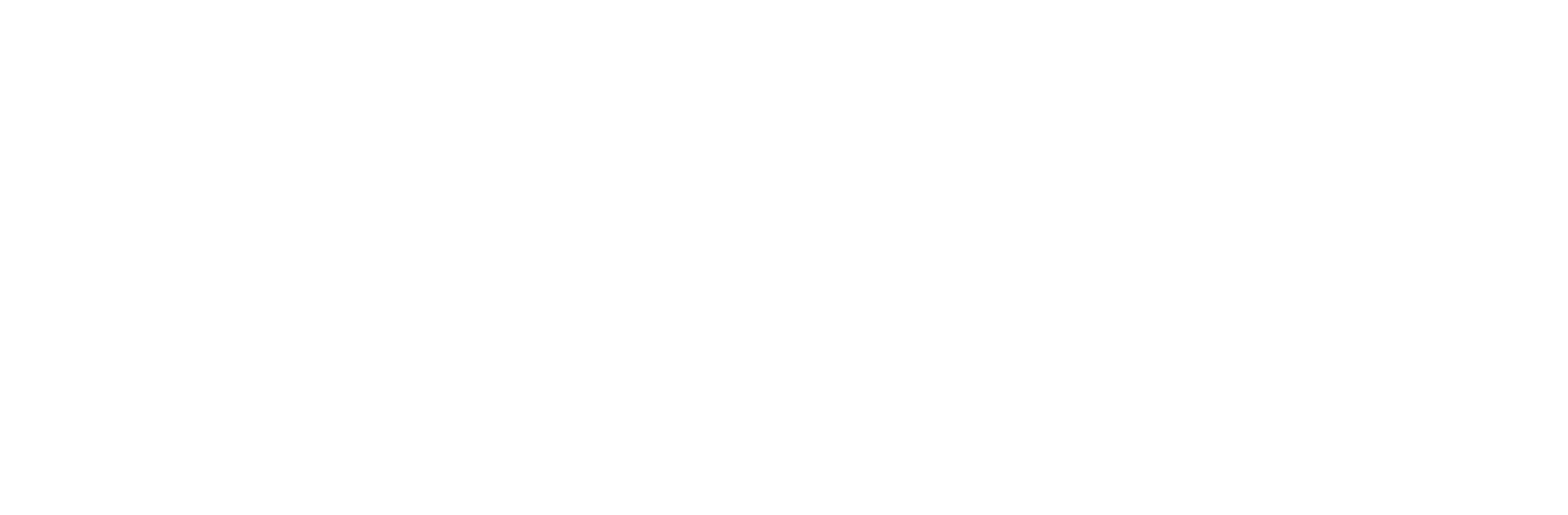 logo of the project