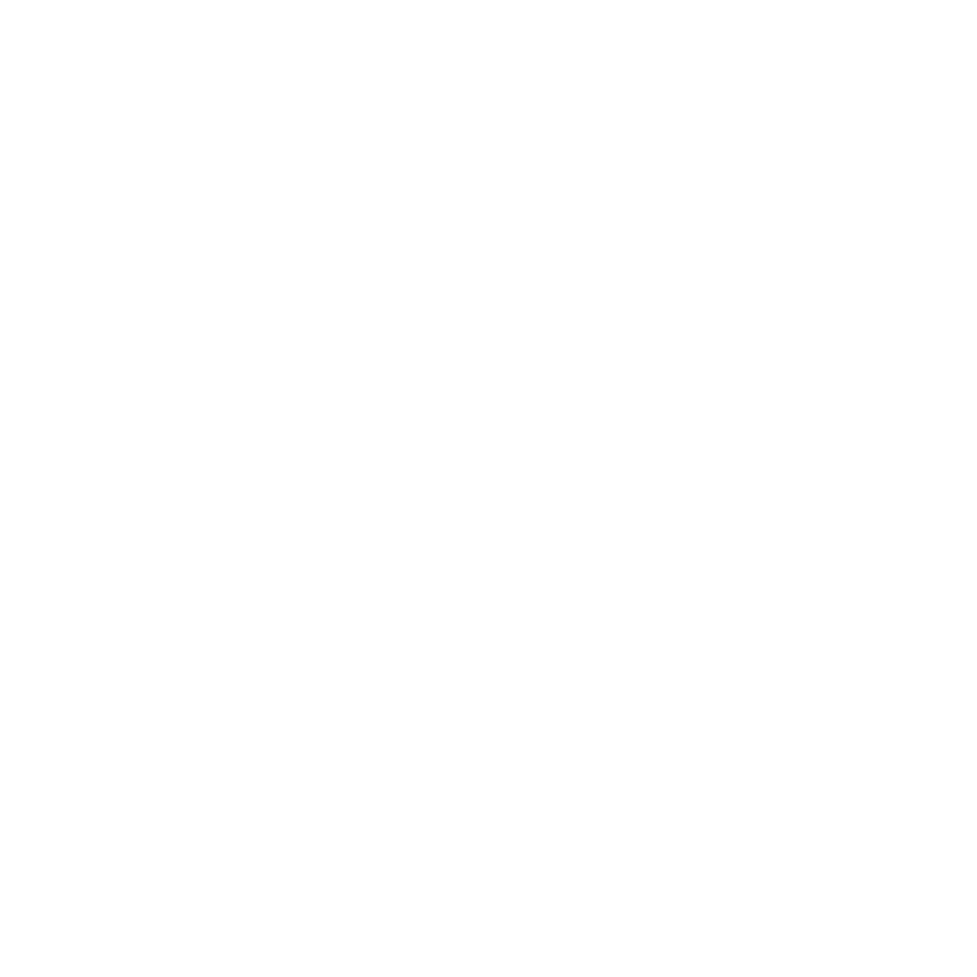 logo of the project