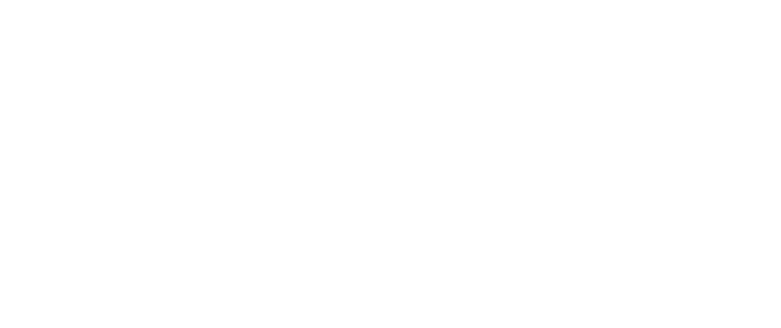 logo of the project