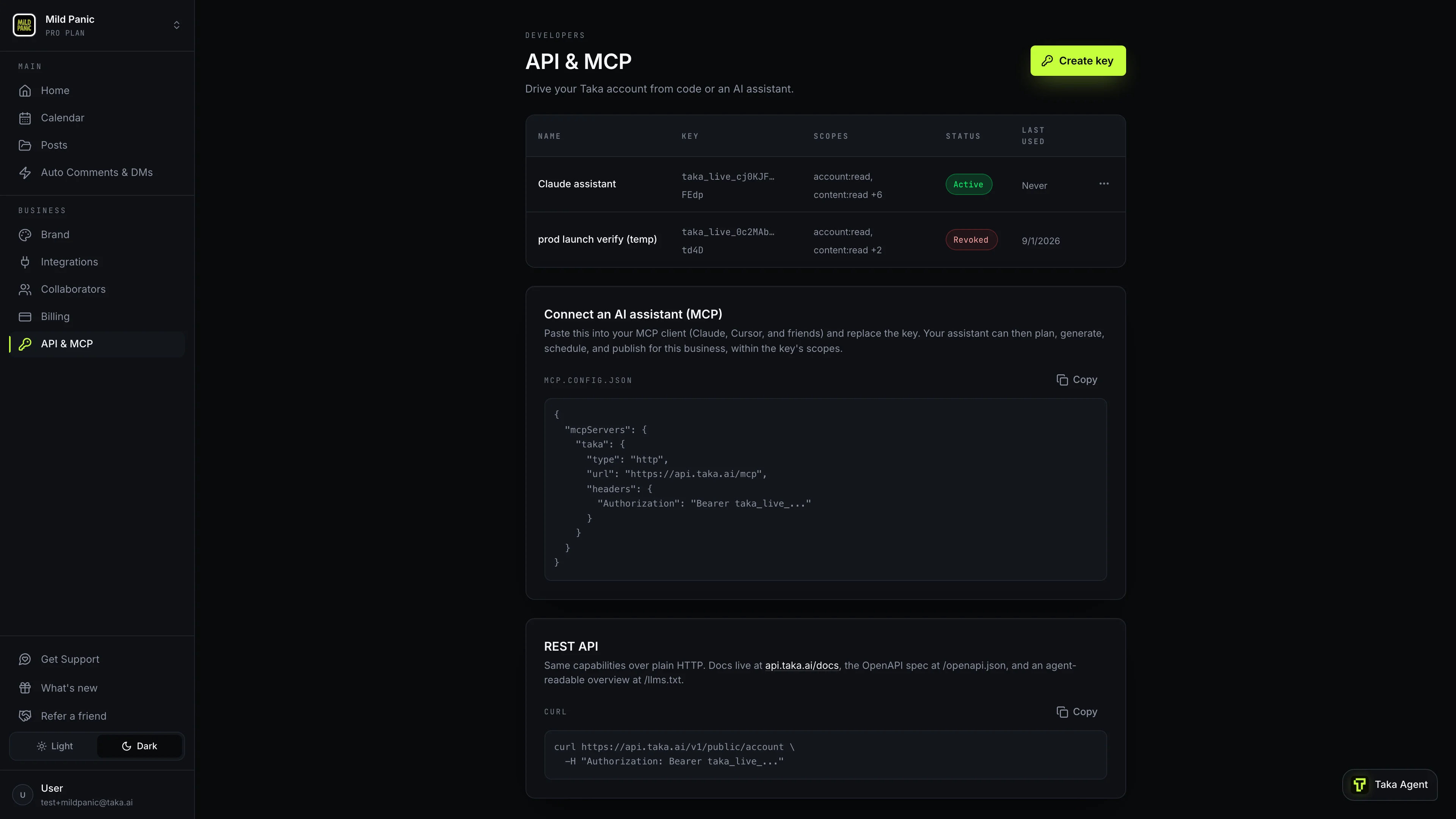 The API & MCP settings page with a scoped active key and a ready-to-paste MCP config