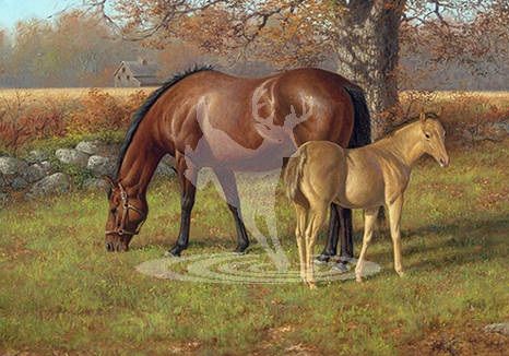 Reflective Art RAI51518 A Proud Heritage Puzzle