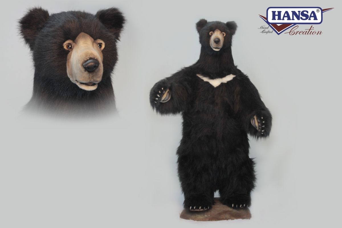 hansa black bear