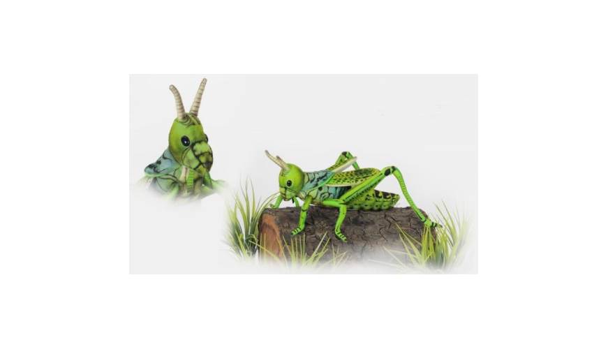 grasshopper plush