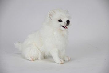 Hansa 7018 14.1 in. Pomeranion Dog